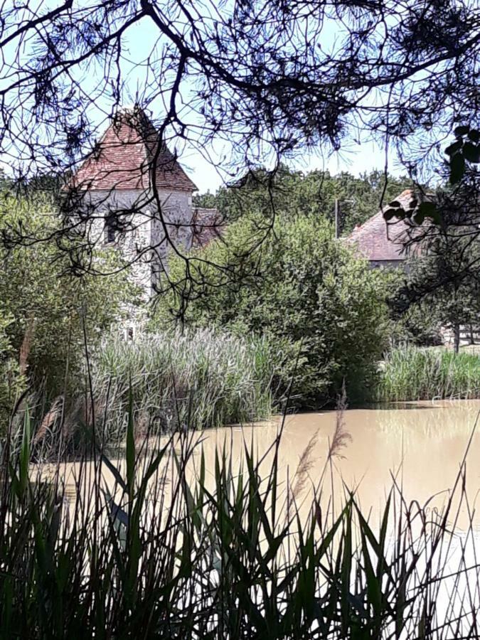 Le Manoir De Pierre Levee, The Originals Collection Hotell Tournon-Saint-Martin Exteriör bild